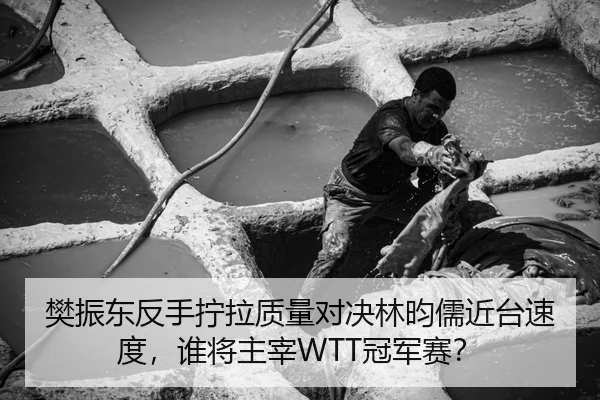 fan-zhen-dong-fan-shou-ning-la-zhi-liang-dui-jue-lin-yun-ru-jin-tai-su-du-shui-jiang-zhu-zai-guan-jun-sai-3-832.jpg
